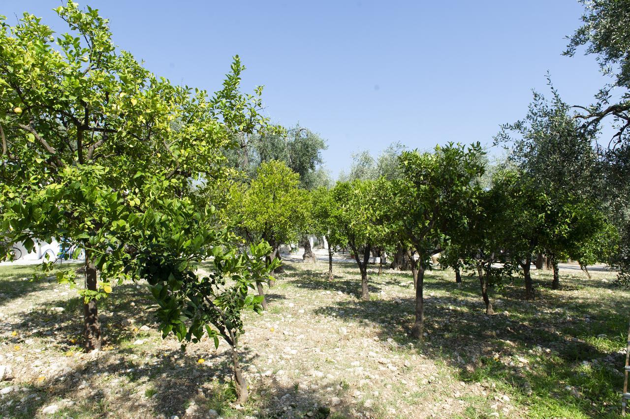 Tenuta Santa Maria Mattinata Exterior foto